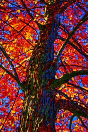 Red & Orange